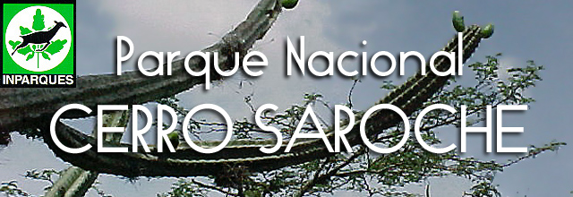 TEREPAIMA.jpg (173449 bytes)