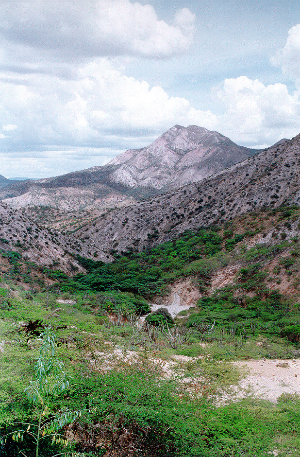 Untitled-4.jpg (704198 bytes)