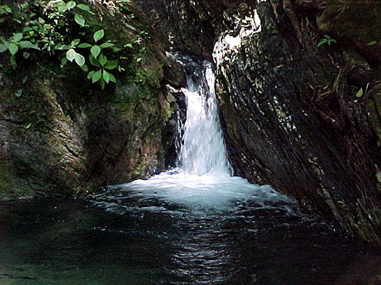 FOTO11.jpg (203309 bytes)