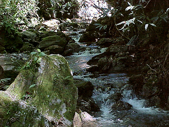 FOTO12.jpg (263176 bytes)