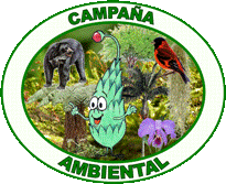 Musguito | Campa&ntilde;a AmbientaL