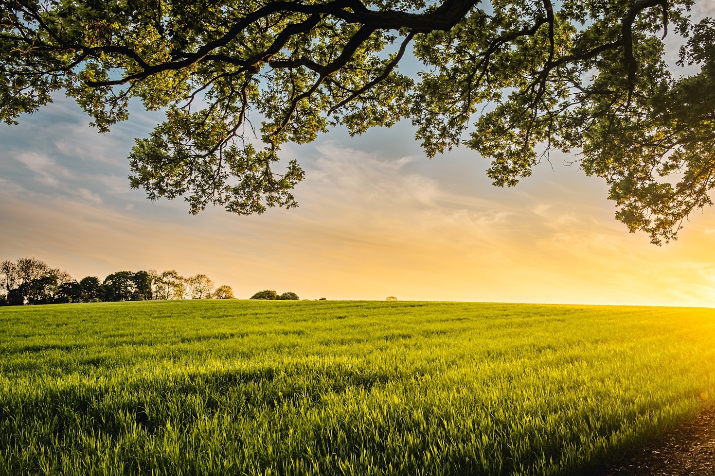 10 maneras sencillas de vivir de forma más ecológica
